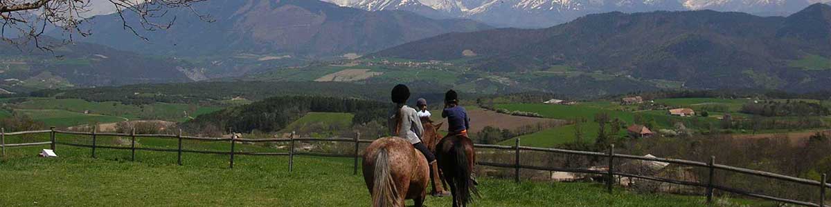 Équitation