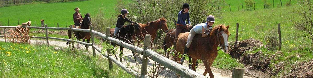 Équitation